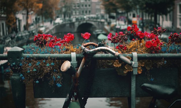 De 3 beste fiets- en bromfietsroutes van Nederland